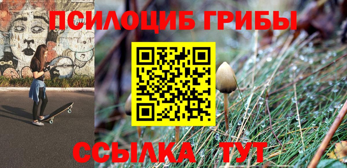 Псилоцибиновые грибы Magic Shrooms  Галлюциногенные грибы мицелий  Ставрополь  Вход с VPN 